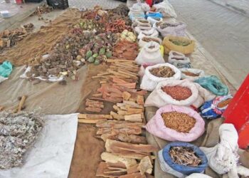 Gwamnatin Kano Za Ta Tsara Zamantar Da Magungunan Gargajiya