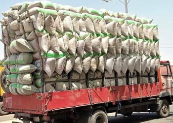 Ana Fargaba An Sha Kwana Da Shinkafar Gwamnatin Tarayya A Bauchi, Gombe, Da Dutse