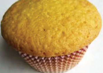 Hadin Kek Mai Lagwada