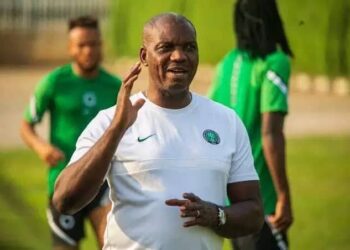 Ban Nemi A Ba Ni Aikin Horar Da Super Eagles Ba – Eguavoen