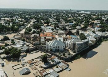 Ambaliya: Kashi 80 Na Dabbobin Gidan Zoo  Na Borno Sun Mutu, An Rufe Duk Makarantu A Jihar
