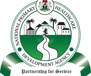 Yara 2,300 Da Mata 145 Ke Mutuwa Kul-lum A Nijeriya — NPHCDA