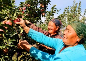 Xi Ya Jaddada Samar Da Karin Kwararrun Jami’ai Ga Xinjiang