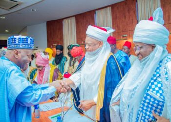 Muna Fama Da Taɓarɓarewar Tattalin Arziƙi Da Wutar Lantarki – Gwamnonin Arewa Da Sarakuna