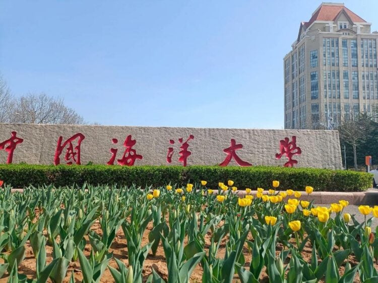 Xi