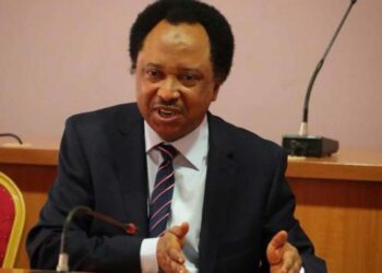 Sanata Sani Ya Nemi Tinubu Ya Saki Masu Zanga-zanga Da Ke Tsare