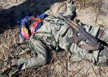 Rundunar Sojin Haɗin Gwiwa Ta Ƙasashe Ta Kashe ‘Yan Ta’adda 15 A Borno