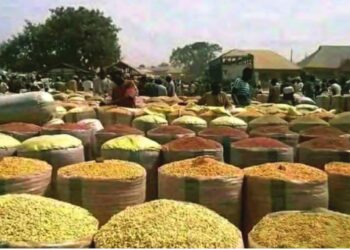 Tashin Farashin Kayan Masarufi Ya Fi Illa Ga Mazauna Jihohin Sakkwato, Edo Da Borno