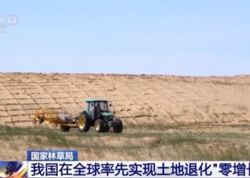 Kasar Sin Ta Kasance A Gaba Wajen Yaki Da Kwararowar Hamada