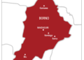 Kwankwaso An Fara Biyan Ma’aikata Sabon Mafi Ƙarancin Albashin N70,000 A Borno