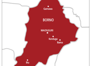 Kwankwaso An Fara Biyan Ma’aikata Sabon Mafi Ƙarancin Albashin N70,000 A Borno