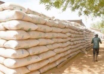 Ƙone-ƙonen Da Ƴan Ta’adda Ke Yi Zai Ƙara Haifar Da Ƙarancin Abinci