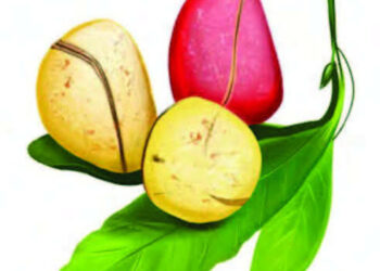 GORON JUMA’A 22/11/2024