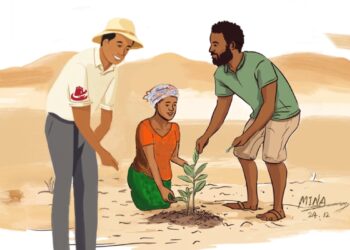 Dabaru Da Fasahohin Sin Na Taimakawa Kasashen Afirka Wajen Tinkarar Kwararar Hamada