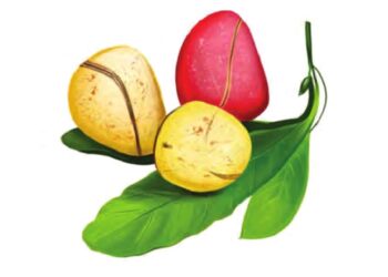 GORON JUMA’A 12-12-2024