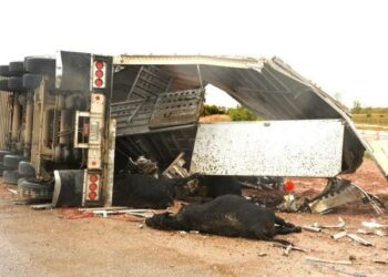 Mutane Biyu Sun Mutu A Wani Hatsarin Babbar Mota A Bauchi