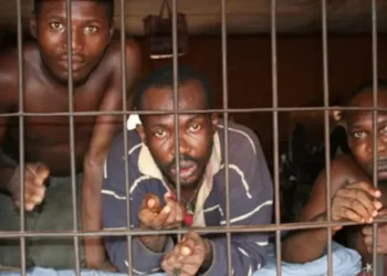 Fursunoni 48,932 Ke Jiran Shari’a A Gidajen Yarin Nijeriya – Mukaddaashin Kwantirola
