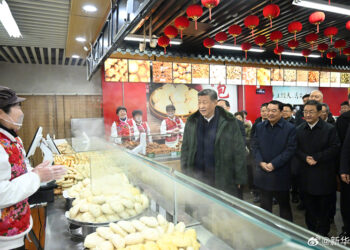 Xi Jinping Ya Yi Rangadi A Arewa Maso Gabashin Kasar Sin Gabanin Bikin Bazara