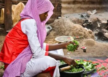 Yadda Rashin Tsaftar Cikin Gida Ke Haifar Da kananan Cututtuka