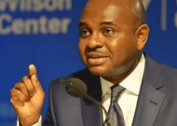 Samar Wa Nijeriya Sabon Kundin Tsarin Mulki Zai Magance Matsaloli – Moghalu