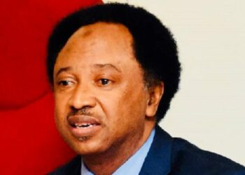 Trump Zai Fuskanci Tirjiya A Duniya, Ba Soyayya Ba – Shehu Sani