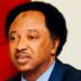 Falasɗinawa Trump Zai Fuskanci Tirjiya A Duniya, Ba Soyayya Ba – Shehu Sani