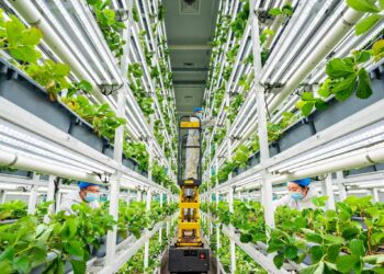 Me Sabon Karfin Samar Da Ci Gaban Ayyukan Gona Zai Kawo Mana?