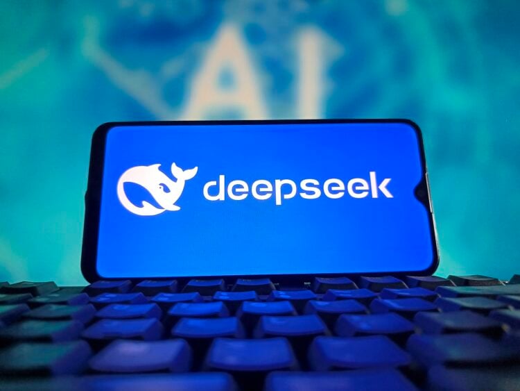 DeepSeek