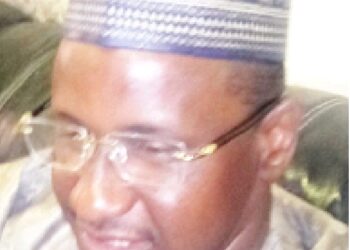 Kamfanonin Taki Na Gida Za Su Iya Taimaka Wa Gwamnati Wajen Tallafa Wa Manoma