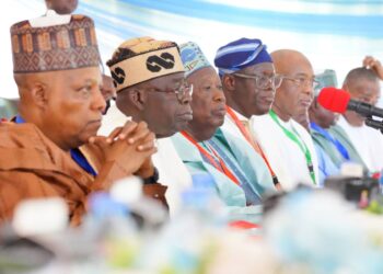 ADC Jam’iyyar APC Ta Sahalewa Shugaba Tinubu Damar Neman Shugabancin Nijeriya A 2027