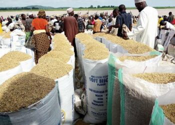 Gwamnatin Kebbi Ta Samar Da Tirela 300 Na Abinci Don Rabo Da Azumi