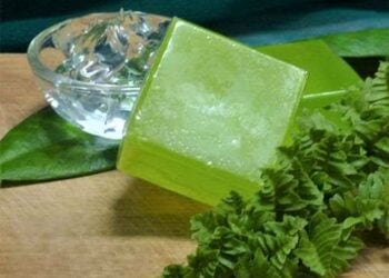 Silifas Sana’ar Hada Sabulun Aloe Vera