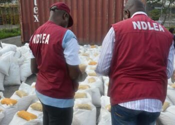 NDLEA Ta Gargadi Iyaye Kan Bayyanar Alawar Ƙwaya A Kano