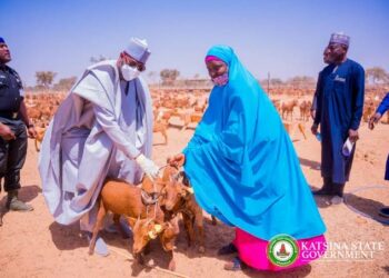 Gwamnatin Katsina Ta Kashe Naira Biliyan 5.7 Wajen Sayen Awaki 40,000 Domin Raba Wa Mata