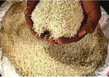 Yadda Ake Fitar Da Zakkar Fidda Kai Da Sallar Idi