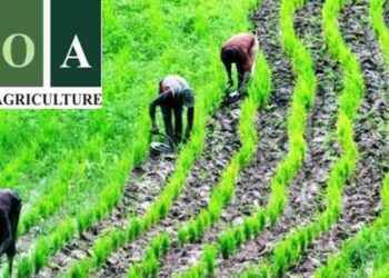 Dalilan Gwamnatin Tarayya Na Zuba Naira Tiriliyan 1.5 A Bankin Aikin Noma -Kyari