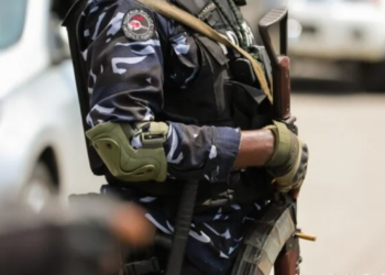 ‘Yansanda Sun Kama Wani Kato Bisa Zargin Cin Zarafin Wata Mata A Adamawa