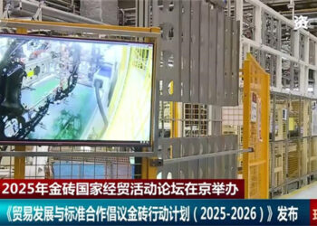 Tsarin BRICS Ya Zama Muhimmin Dandalin Hadin Kai Na Kasashe Masu Tasowa