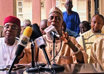 Babu Wani Saɓani Tsakanin Tinubu Da Shettima — Jigon APC
