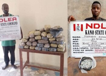 NDLEA Ta Kama Masu Sayar Da Kwaya Ga Ƴan Bindiga A Kano