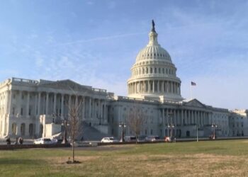 Guguwar Kudin Fito Na Gwamnatin Trump: Dabara Ko Hauka?