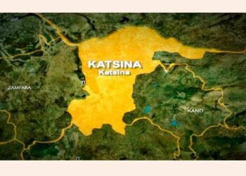 ‘Yan Bindiga Sun Kashe Kwamandan ‘Yan Sa-kai, Sun Jikkata Wasu A Katsina