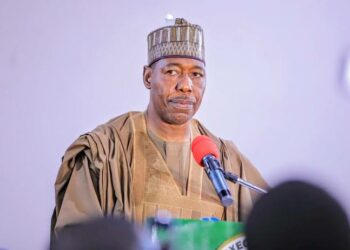 ‘Yan Boko Haram Na Ci Gaba Da Mamaye Sassan Jihar Borno -Zulum