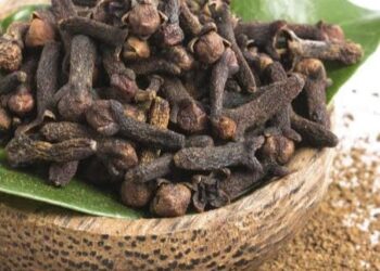 Nazari Kan Amfanin Noman Kanumfari