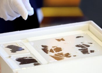 Hadin Gwiwa Bisa Daidaito Da Girmama Juna Tsakanin Sin Da Amurka Zai Samar Da Moriyar Juna