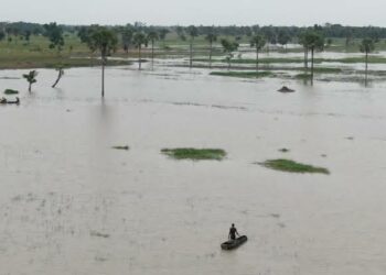 Ambaliya: Yankunan Da Ba Za Su Yi Noma A Kakar Bana Ba A Jihar Neja