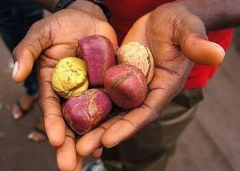 GORON JUMA’A 09/05/2025