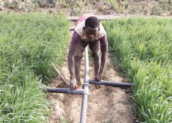 Gwamnatin Tarayya Ta Kashe Naira Tiriliyan 1.5 Don Magance Matsalar Abinci — Minista