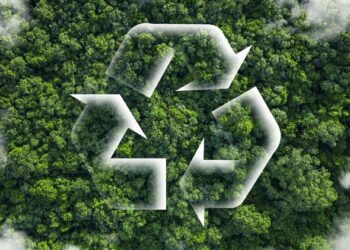 Firaministan Sin Ya Shugabanci Taro Kan Masana’antu Masu Amfani Da Makamashi Mai Tsafta Da Kare Muhalli 