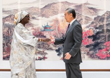 Ministan Harkokin Wajen Sin Ya Gana Da Takwarorinsa Na Kasashen Afrika